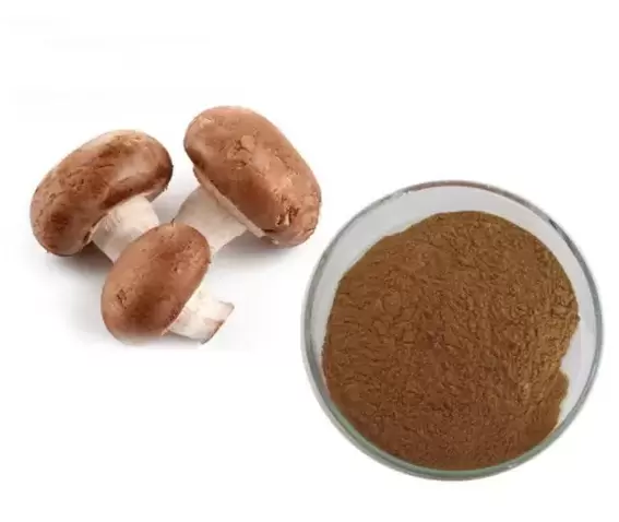 Shiitaki mushroom powder capsule Prostamin Forte